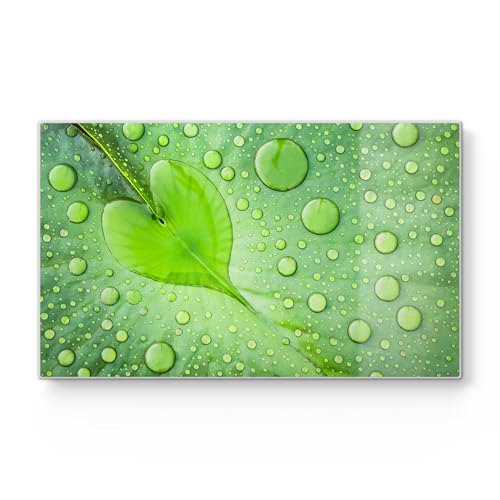DEQORI Frühstücksbrett Glas | klein 23x14 cm | Motiv "Grüne Juwelen" | Design Schneidebrett für Küche | Frühstücksbrettchen antibakteriell & rutschfest | Glasplatte & Servierplatte DEQORI Frühstücksbrett Glas | klein 23x14 cm | Motiv "Grüne Juwelen" | Design Schneidebrett für Küche | Frühstücksbrettchen antibakteriell & rutschfest | Glasplatte & Servierplatte von DEQORI