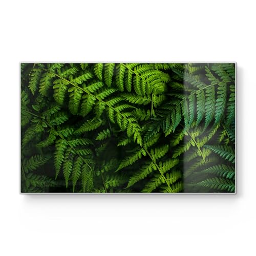 DEQORI Frühstücksbrett Glas | klein 23x14 cm | Motiv "Grüne Stille" | Design Schneidebrett für Küche | Frühstücksbrettchen antibakteriell & rutschfest | Glasplatte & Servierplatte DEQORI Frühstücksbrett Glas | klein 23x14 cm | Motiv "Grüne Stille" | Design Schneidebrett für Küche | Frühstücksbrettchen antibakteriell & rutschfest | Glasplatte & Servierplatte von DEQORI