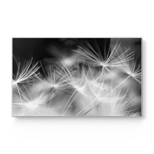 DEQORI Frühstücksbrett Glas | klein 23x14 cm | Motiv "Pusteblumenflug" | Design Schneidebrett für Küche | Frühstücksbrettchen antibakteriell & rutschfest | Glasplatte & Servierplatte von DEQORI