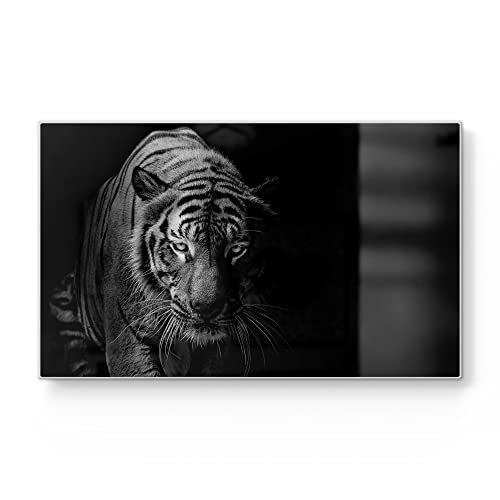 DEQORI Frühstücksbrett Glas | klein 23x14 cm | Motiv "Tiger auf der Pirsch" | Design Schneidebrett für Küche | Frühstücksbrettchen antibakteriell & rutschfest | Glasplatte & Servierplatte DEQORI Frühstücksbrett Glas | klein 23x14 cm | Motiv "Tiger auf der Pirsch" | Design Schneidebrett für Küche | Frühstücksbrettchen antibakteriell & rutschfest | Glasplatte & Servierplatte von DEQORI
