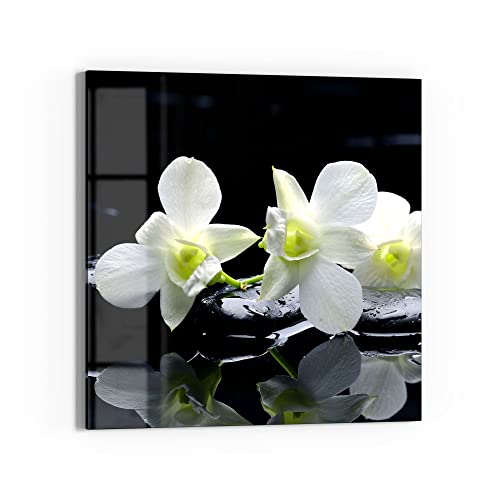 DEQORI Glasbild Acrylglas | Motiv "Orchidee mit Zen-Steinen" | quadratisch einteilig 50x50 cm | schöne Dekoration | Wandbild für Wohnzimmer, Schlafzimmer, Flur & Küche | moderne Wanddeko von DEQORI
