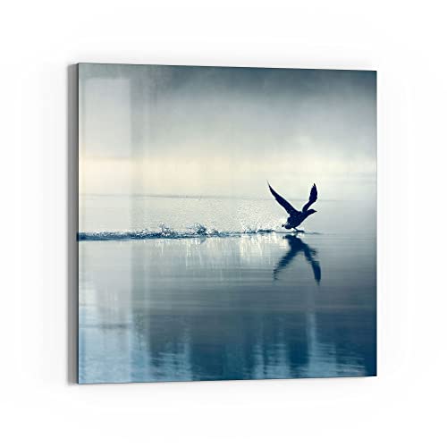 DEQORI Glasbild Acrylglas | Motiv "Vogel landet auf Wasser" | quadratisch einteilig 50x50 cm | schöne Dekoration | Wandbild für Wohnzimmer, Schlafzimmer, Flur & Küche | moderne Wanddeko DEQORI Glasbild Acrylglas | Motiv "Vogel landet auf Wasser" | quadratisch einteilig 50x50 cm | schöne Dekoration | Wandbild für Wohnzimmer, Schlafzimmer, Flur & Küche | moderne Wanddeko von DEQORI