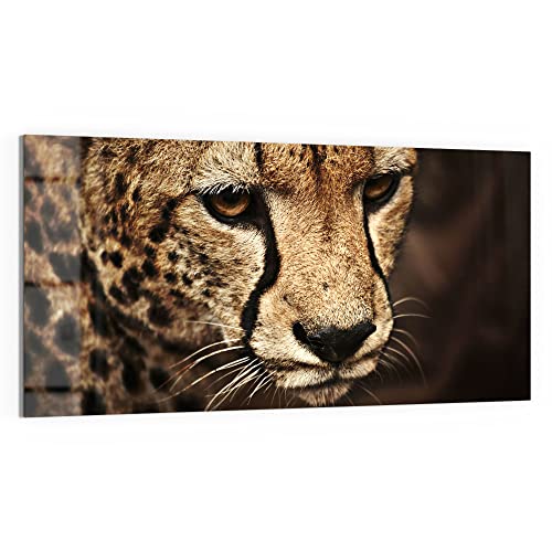 DEQORI Glasbild Acrylglas | Motiv "Wunderschöner Gepard" | horizontal einteilig 100x50 cm | schöne Dekoration | Wandbild für Wohnzimmer, Schlafzimmer, Flur & Küche | moderne Wanddeko DEQORI Glasbild Acrylglas | Motiv "Wunderschöner Gepard" | horizontal einteilig 100x50 cm | schöne Dekoration | Wandbild für Wohnzimmer, Schlafzimmer, Flur & Küche | moderne Wanddeko von DEQORI