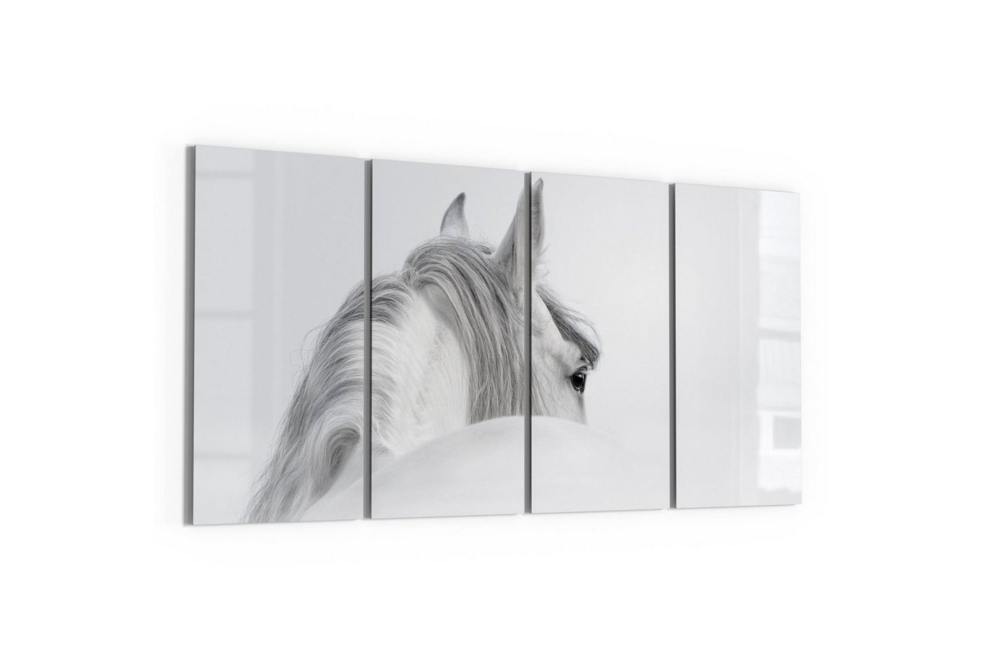 DEQORI Glasbild 'Andalusisches Pferd', 'Andalusisches Pferd', Glas Wandbild Bild schwebend modern von DEQORI