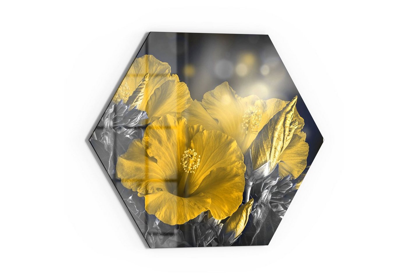 DEQORI Glasbild 'Blüten des Roseneibisch', 'Blüten des Roseneibisch', Glas Wandbild Bild schwebend modern von DEQORI