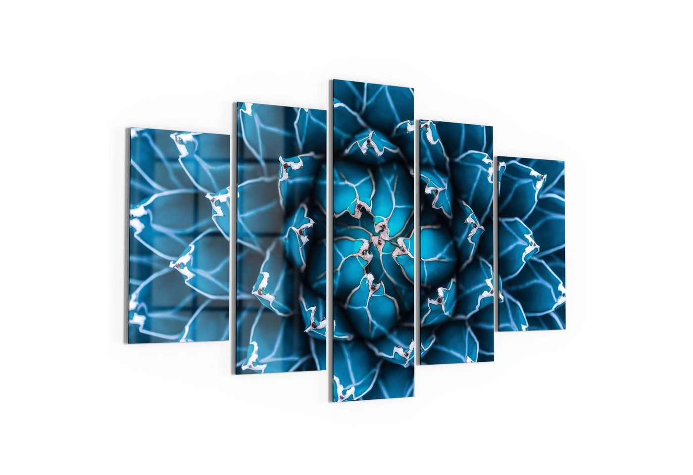 DEQORI Glasbild 'Detailansicht einer Agave', 'Detailansicht einer Agave', Glas Wandbild Bild schwebend modern von DEQORI