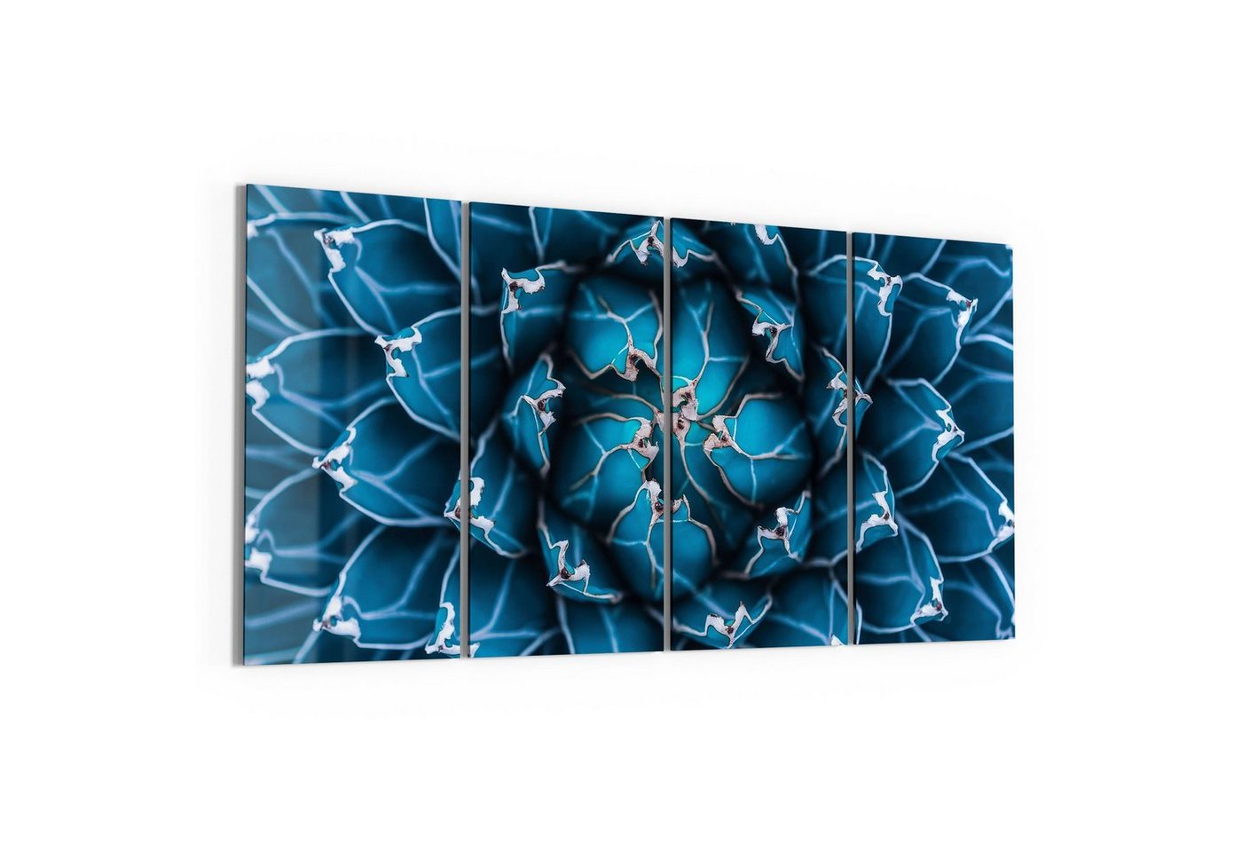 DEQORI Glasbild 'Detailansicht einer Agave', 'Detailansicht einer Agave', Glas Wandbild Bild schwebend modern von DEQORI