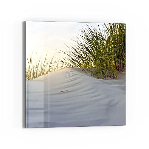 DEQORI Glasbild Echtglas | Motiv "Düne mit Dünengras" | quadratisch einteilig 50x50 cm | schöne Dekoration | Wandbild für Wohnzimmer, Schlafzimmer, Flur & Küche | moderne Wanddeko DEQORI Glasbild Echtglas | Motiv "Düne mit Dünengras" | quadratisch einteilig 50x50 cm | schöne Dekoration | Wandbild für Wohnzimmer, Schlafzimmer, Flur & Küche | moderne Wanddeko von DEQORI