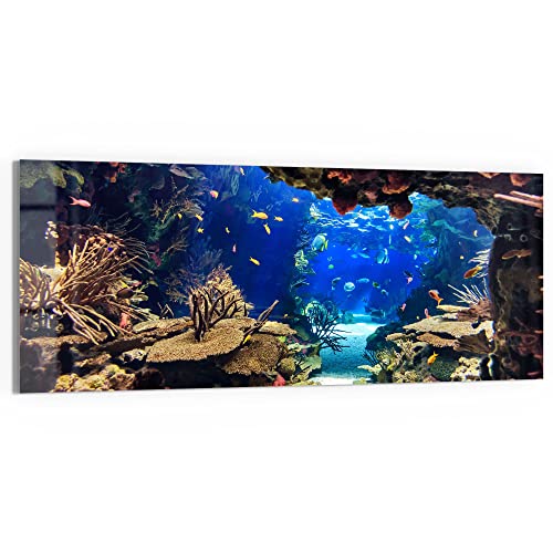 DEQORI Glasbild Echtglas | Motiv "Exotisches Aquarium" | horizontal einteilig 125x50 cm | schöne Dekoration | Wandbild für Wohnzimmer, Schlafzimmer, Flur & Küche | moderne Wanddeko DEQORI Glasbild Echtglas | Motiv "Exotisches Aquarium" | horizontal einteilig 125x50 cm | schöne Dekoration | Wandbild für Wohnzimmer, Schlafzimmer, Flur & Küche | moderne Wanddeko von DEQORI