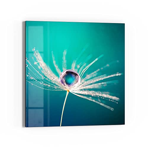 DEQORI Glasbild Echtglas | Motiv Samen mit Wassertropfen | quadratisch einteilig 50x50 cm | schöne Dekoration | Wandbild für Wohnzimmer, Schlafzimmer, Flur & Küche | moderne Wanddeko von DEQORI