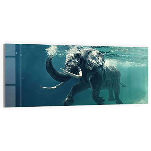 DEQORI Glasbild Echtglas | Motiv "Schwimmender Elefant" | horizontal einteilig 150x60 cm | schöne Dekoration | Wandbild für Wohnzimmer, Schlafzimmer, Flur & Küche | moderne Wanddeko von DEQORI