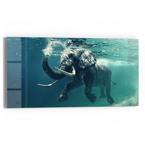 DEQORI Glasbild Echtglas | Motiv "Schwimmender Elefant" | horizontal einteilig 60x30 cm | schöne Dekoration | Wandbild für Wohnzimmer, Schlafzimmer, Flur & Küche | moderne Wanddeko von DEQORI