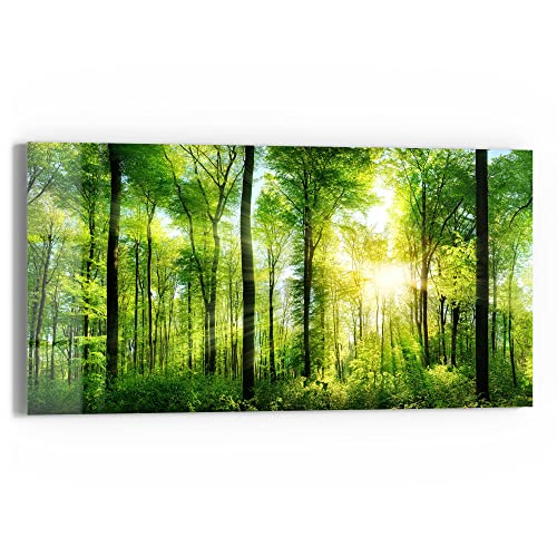 DEQORI Glasbild Echtglas | Motiv "Sonne durchbricht Wald" | horizontal einteilig 60x30 cm | schöne Dekoration | Wandbild für Wohnzimmer, Schlafzimmer, Flur & Küche | moderne Wanddeko von DEQORI