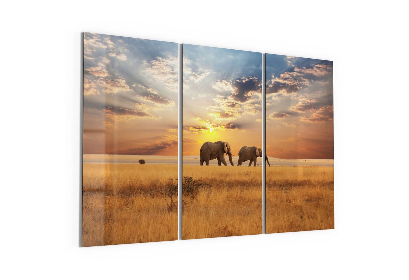 DEQORI Glasbild 'Elefanten in der Steppe', 'Elefanten in der Steppe', Glas Wandbild Bild schwebend modern von DEQORI