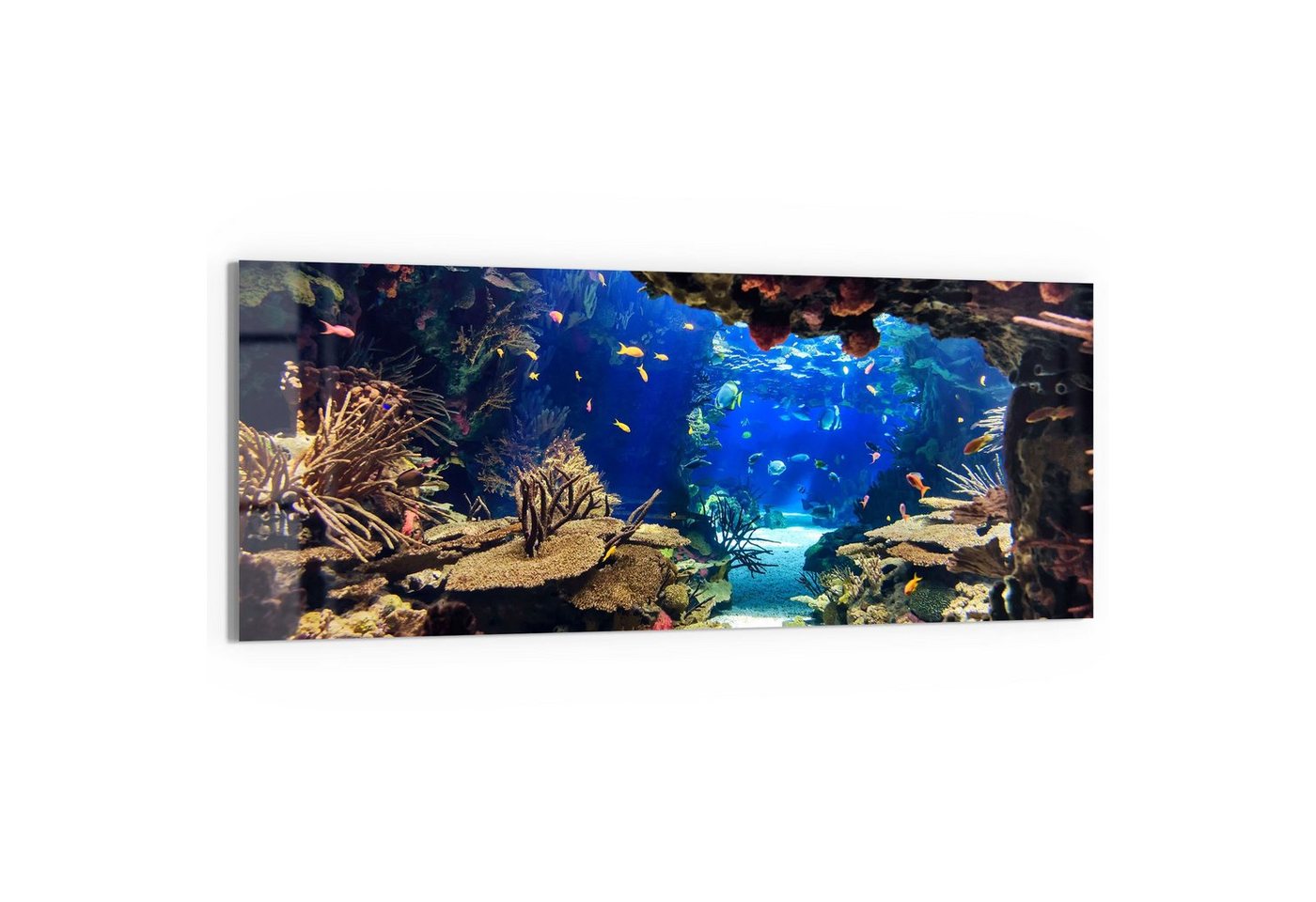 DEQORI Glasbild 'Exotisches Aquarium', 'Exotisches Aquarium', Glas Wandbild Bild schwebend modern von DEQORI