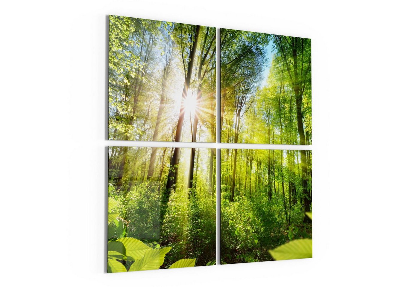 DEQORI Glasbild 'Licht durchdringt Bäume', 'Licht durchdringt Bäume', Glas Wandbild Bild schwebend modern von DEQORI