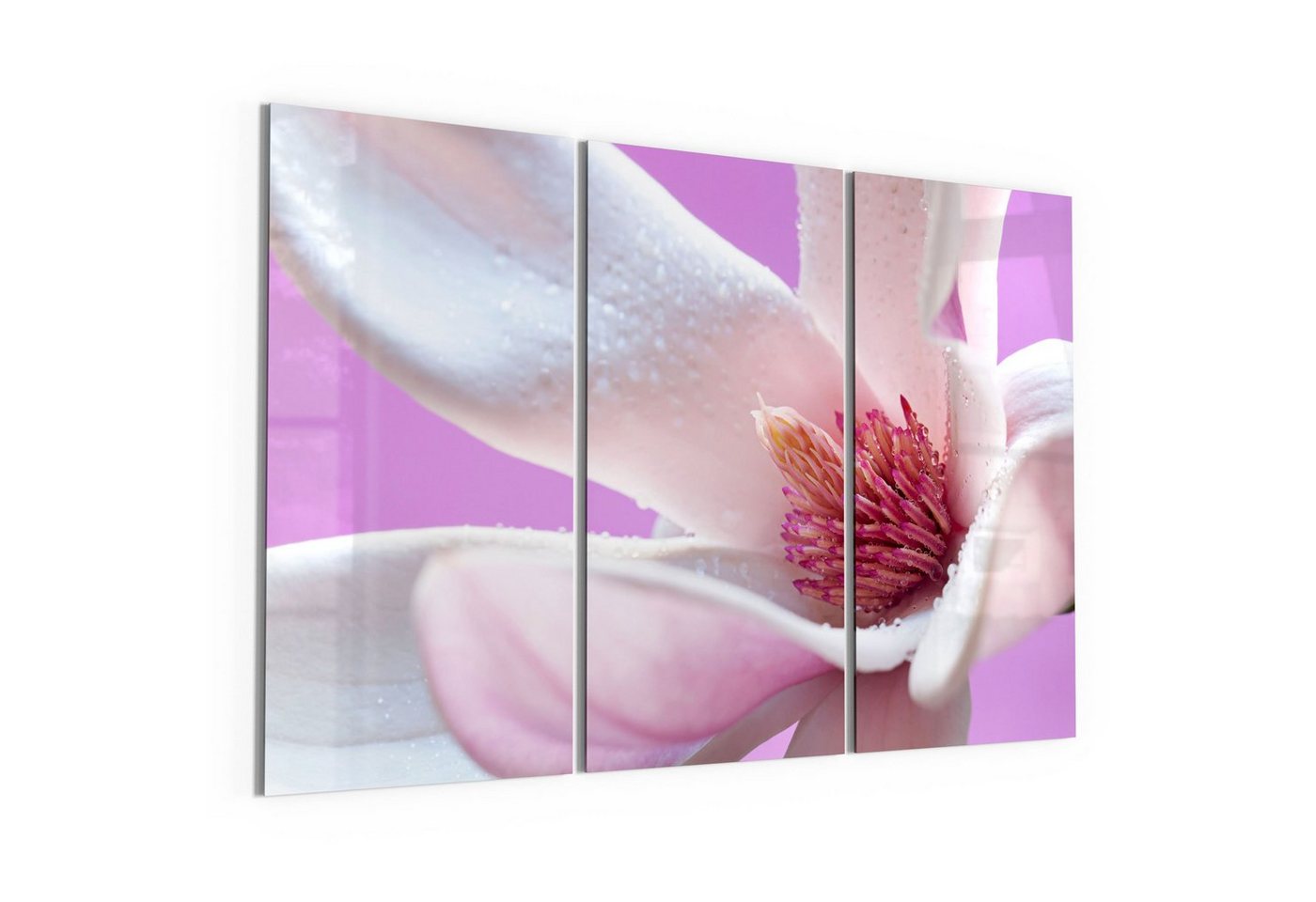 DEQORI Glasbild 'Magnolienblüte', 'Magnolienblüte', Glas Wandbild Bild schwebend modern von DEQORI