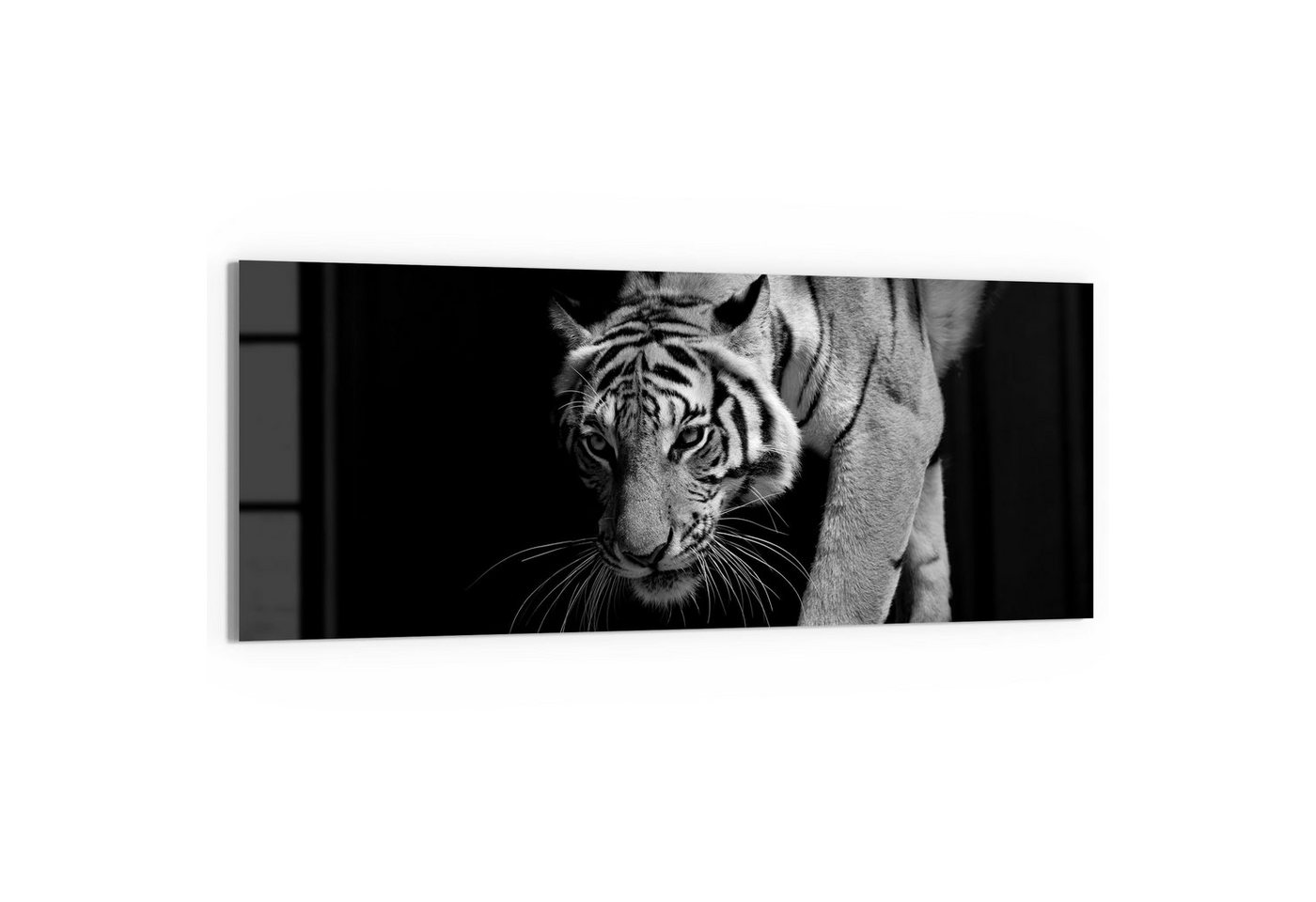 DEQORI Glasbild 'Pirschender Tiger', 'Pirschender Tiger', Glas Wandbild Bild schwebend modern von DEQORI