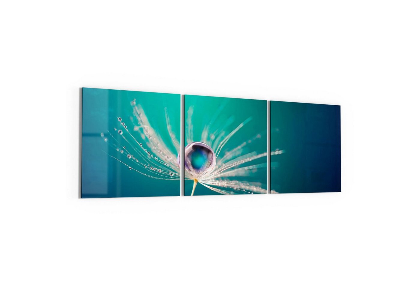 DEQORI Glasbild 'Samen mit Wassertropfen', 'Samen mit Wassertropfen', Glas Wandbild Bild schwebend modern von DEQORI