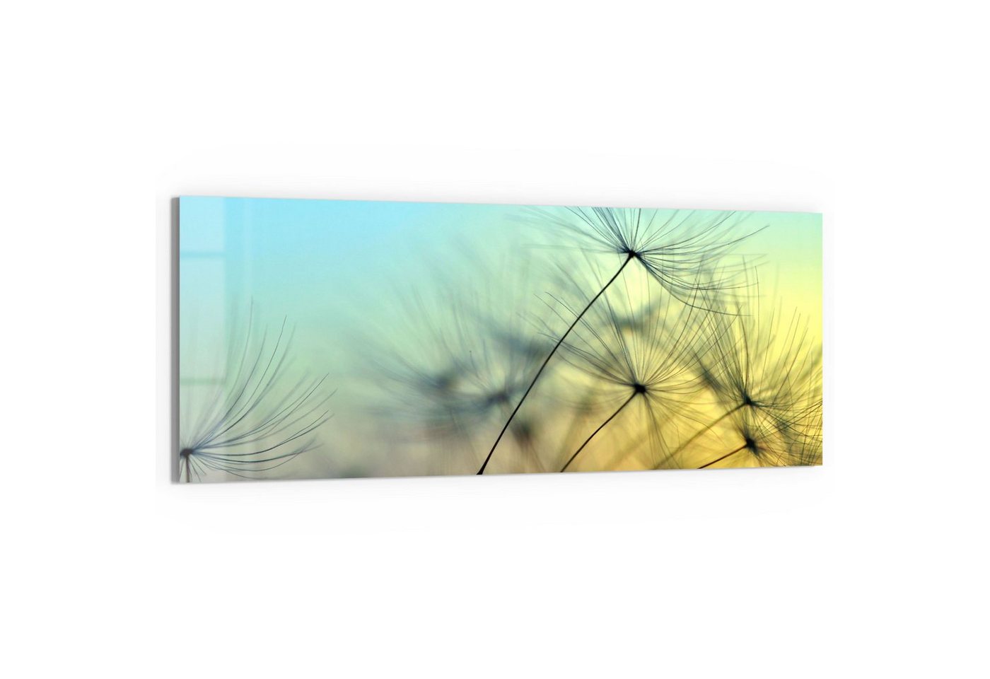 DEQORI Glasbild 'Schirmchen in Abendsonne', 'Schirmchen in Abendsonne', Glas Wandbild Bild schwebend modern von DEQORI