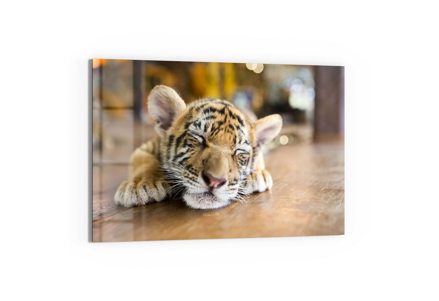 DEQORI Glasbild 'Schlafendes Tigerbaby', 'Schlafendes Tigerbaby', Glas Wandbild Bild schwebend modern von DEQORI