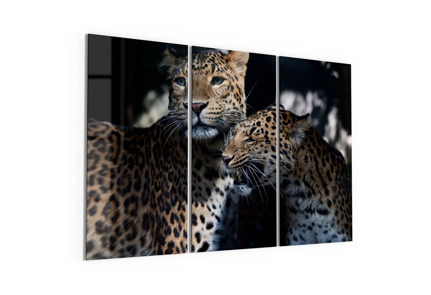 DEQORI Glasbild 'Seltenes Leopardenpaar', 'Seltenes Leopardenpaar', Glas Wandbild Bild schwebend modern von DEQORI