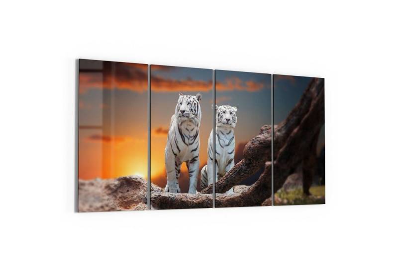 DEQORI Glasbild 'Weiße Tiger im Abendlicht', 'Weiße Tiger im Abendlicht', Glas Wandbild Bild schwebend modern von DEQORI