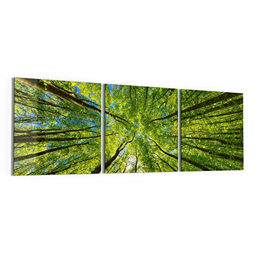 DEQORI Glasbilder Acrylglas | Motiv "Blick durch Baumkronen" | horizontal 3-teilig 150x50 cm | große XXL Deko | Wandbilder für Wohnzimmer, Schlafzimmer, Flur & Küche | moderne Wanddeko DEQORI Glasbilder Acrylglas | Motiv "Blick durch Baumkronen" | horizontal 3-teilig 150x50 cm | große XXL Deko | Wandbilder für Wohnzimmer, Schlafzimmer, Flur & Küche | moderne Wanddeko von DEQORI