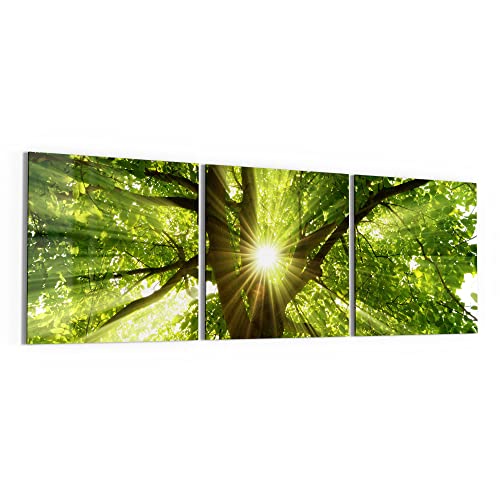 DEQORI Glasbilder Echtglas | Motiv "Sonne durchflutet Blätter" | horizontal 3-teilig 150x50 cm | große XXL Deko | Wandbilder für Wohnzimmer, Schlafzimmer, Flur & Küche | moderne Wanddeko DEQORI Glasbilder Echtglas | Motiv "Sonne durchflutet Blätter" | horizontal 3-teilig 150x50 cm | große XXL Deko | Wandbilder für Wohnzimmer, Schlafzimmer, Flur & Küche | moderne Wanddeko von DEQORI