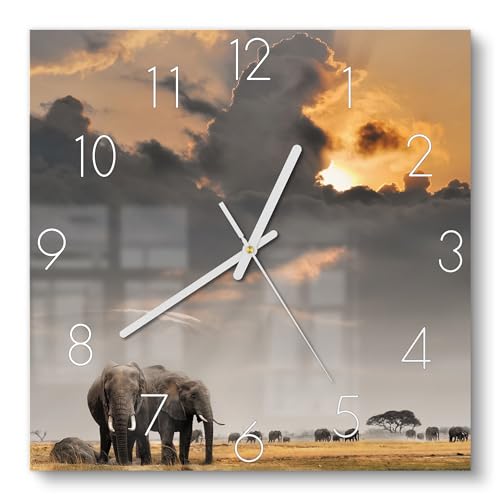 DEQORI Glasuhr | 30x30 cm | Motiv Savannen Dämmerung | ausgefallene leise Design Uhr aus Glas | Wanduhr für Wohnzimmer & Küche | Moderne Hingucker Uhr für die Wand von DEQORI