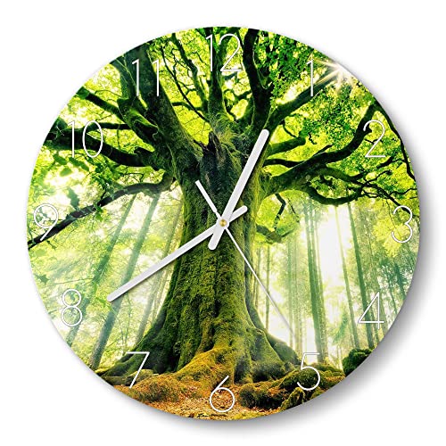 DEQORI Glasuhr | rund Ø 30 cm | Motiv Eindrucksvoller Baum | ausgefallene leise Design Uhr aus Glas | Wanduhr für Wohnzimmer & Küche | Moderne Hingucker Uhr für die Wand von DEQORI