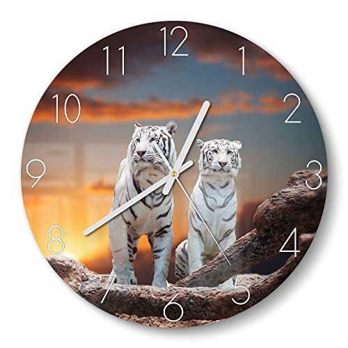 DEQORI Glasuhr | rund Ø 30 cm | Motiv Weiße Tiger im Abendlicht | ausgefallene leise Design Uhr aus Glas | Wanduhr für Wohnzimmer & Küche | Moderne Hingucker Uhr für die Wand von DEQORI