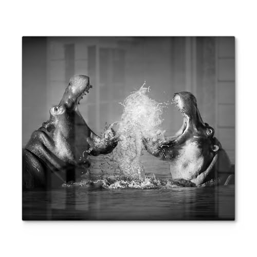 DEQORI Herdabdeckplatte Glas | einteilig 60x52 cm | Motiv "Begegnung im Fluss" | Ceranfeld Abdeckplatte für Küche | Herd-Abdeckung universal | Glasplatte & Schneidebrett für Kochplatten von DEQORI