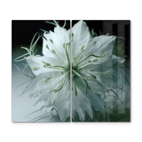 DEQORI Herdabdeckplatten Glas | 2er Set 60x52 cm | Motiv "Stille Schönheit" | Ceranfeld Abdeckplatten in Küche | Herd-Abdeckungen universal | Glasplatten & Schneidebretter für Kochplatte von DEQORI