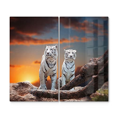 DEQORI Herdabdeckplatten Glas | 2er Set 60x52 cm | Motiv "Weiße Tiger im Abendlicht" | Ceranfeld Abdeckplatten in Küche | Herd-Abdeckungen universal | Glasplatten & Schneidebretter für Kochplatte DEQORI Herdabdeckplatten Glas | 2er Set 60x52 cm | Motiv "Weiße Tiger im Abendlicht" | Ceranfeld Abdeckplatten in Küche | Herd-Abdeckungen universal | Glasplatten & Schneidebretter für Kochplatte von DEQORI