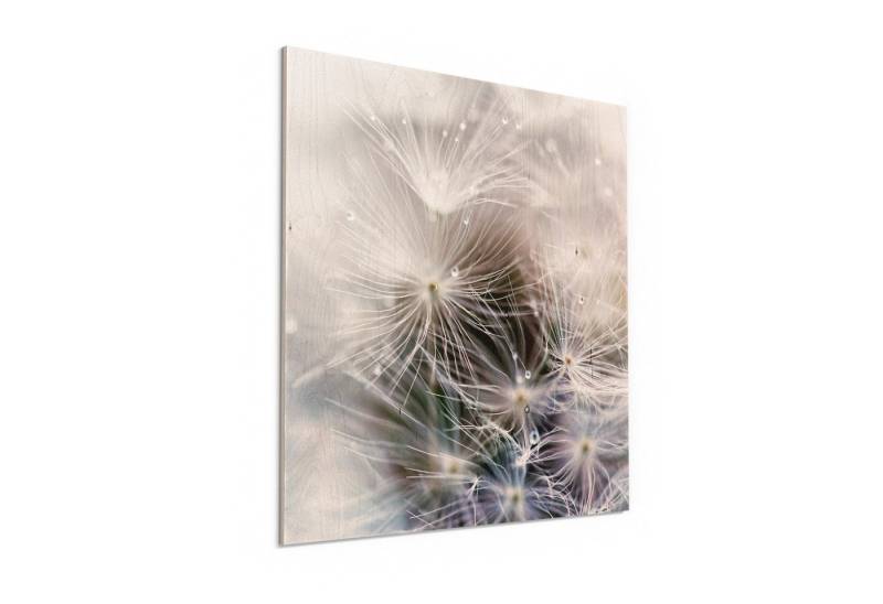 DEQORI Holzbild 'Detailaufnahme Pusteblume', Bild auf Holz natürliches Wandbild Kunstdruck modern Wohnzimmer Design von DEQORI