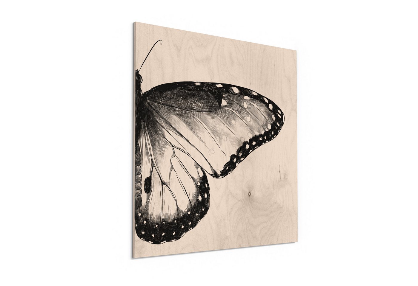 DEQORI Holzbild 'Flügel in Tinte', Bild auf Holz natürliches Wandbild Kunstdruck modern Wohnzimmer Design DEQORI Holzbild 'Flügel in Tinte', Bild auf Holz natürliches Wandbild Kunstdruck modern Wohnzimmer Design von DEQORI