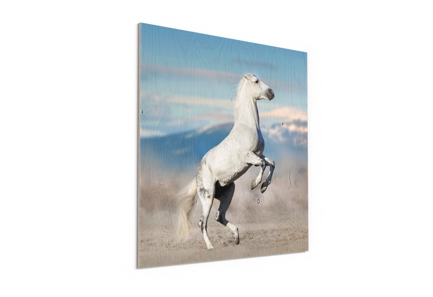 DEQORI Holzbild 'Hoch auf den Hufen', Bild auf Holz natürliches Wandbild Kunstdruck modern Wohnzimmer Design DEQORI Holzbild 'Hoch auf den Hufen', Bild auf Holz natürliches Wandbild Kunstdruck modern Wohnzimmer Design von DEQORI