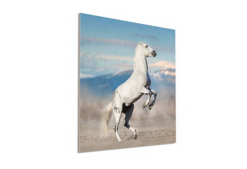 DEQORI Holzbild 'Hoch auf den Hufen', Bild auf Holz natürliches Wandbild Kunstdruck modern Wohnzimmer Design DEQORI Holzbild 'Hoch auf den Hufen', Bild auf Holz natürliches Wandbild Kunstdruck modern Wohnzimmer Design von DEQORI