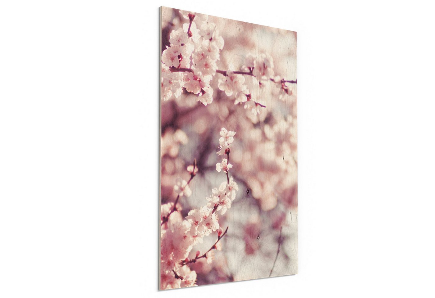 DEQORI Holzbild 'Kirschblütenzweige', Bild auf Holz natürliches Wandbild Kunstdruck modern Wohnzimmer Design DEQORI Holzbild 'Kirschblütenzweige', Bild auf Holz natürliches Wandbild Kunstdruck modern Wohnzimmer Design von DEQORI