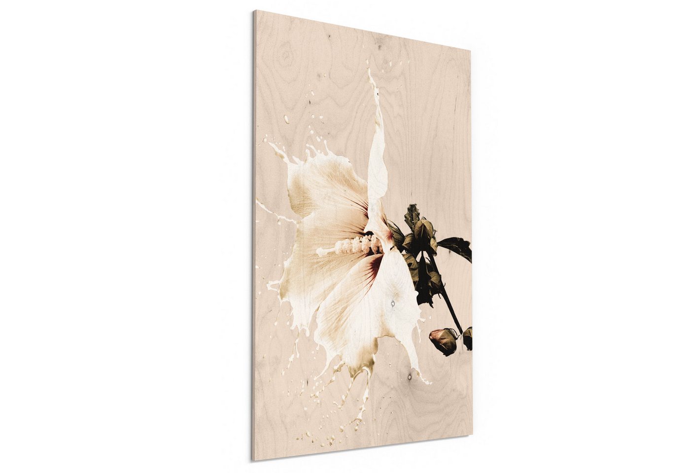 DEQORI Holzbild 'Milchige Blüte', Bild auf Holz natürliches Wandbild Kunstdruck modern Wohnzimmer Design DEQORI Holzbild 'Milchige Blüte', Bild auf Holz natürliches Wandbild Kunstdruck modern Wohnzimmer Design von DEQORI