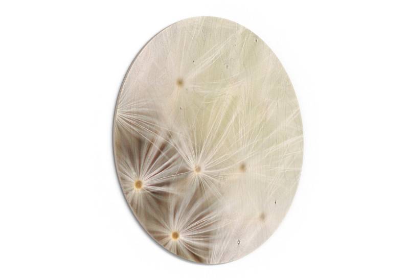 DEQORI Holzbild 'Pusteblume ganz nah', Bild auf Holz natürliches Wandbild Kunstdruck modern Wohnzimmer Design DEQORI Holzbild 'Pusteblume ganz nah', Bild auf Holz natürliches Wandbild Kunstdruck modern Wohnzimmer Design von DEQORI