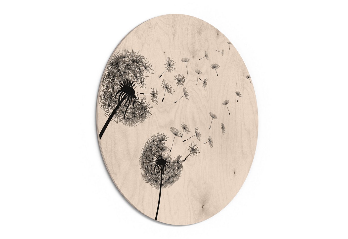 DEQORI Holzbild 'Schwarze Pusteblumen', Bild auf Holz natürliches Wandbild Kunstdruck modern Wohnzimmer Design DEQORI Holzbild 'Schwarze Pusteblumen', Bild auf Holz natürliches Wandbild Kunstdruck modern Wohnzimmer Design von DEQORI