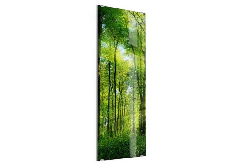 DEQORI Kleiderhaken 'Sonne durchbricht Wald', Glas Garderobe hängend Flur Jackenhalter modern Wandgarderobe Haken von DEQORI