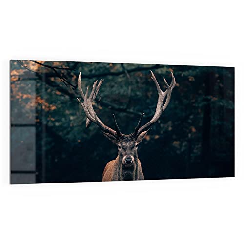 DEQORI Küchenrückwand Glas | Motiv Elch im Teutoburger Wald | 100x50 cm | Bad- oder Herd-Rückwand | Herdblende Spritzschutz für Küche & Badezimmer | Moderne Deko für Fliesenspiegel von DEQORI