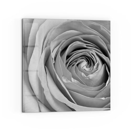 DEQORI Küchenrückwand Glas | Motiv Eleganz in Grau | 60x60 cm cm | Bad- oder Herd-Rückwand | Herdblende Spritzschutz für Küche & Badezimmer | Moderne Deko für Fliesenspiegel DEQORI Küchenrückwand Glas | Motiv Eleganz in Grau | 60x60 cm cm | Bad- oder Herd-Rückwand | Herdblende Spritzschutz für Küche & Badezimmer | Moderne Deko für Fliesenspiegel von DEQORI