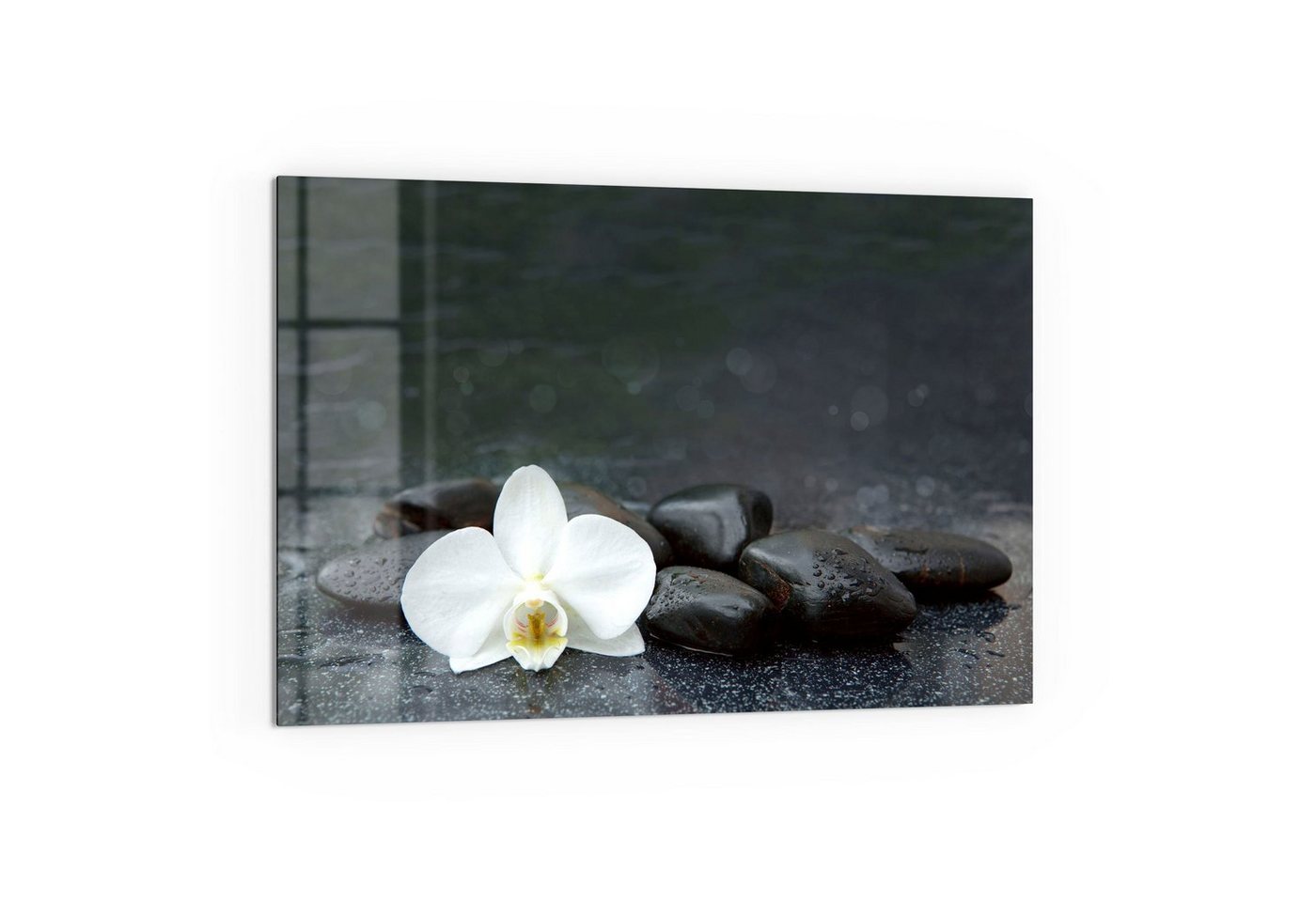 DEQORI Küchenrückwand 'Kontrastreiches Zen-Motiv', Glas Spritzschutz Badrückwand Herdblende von DEQORI