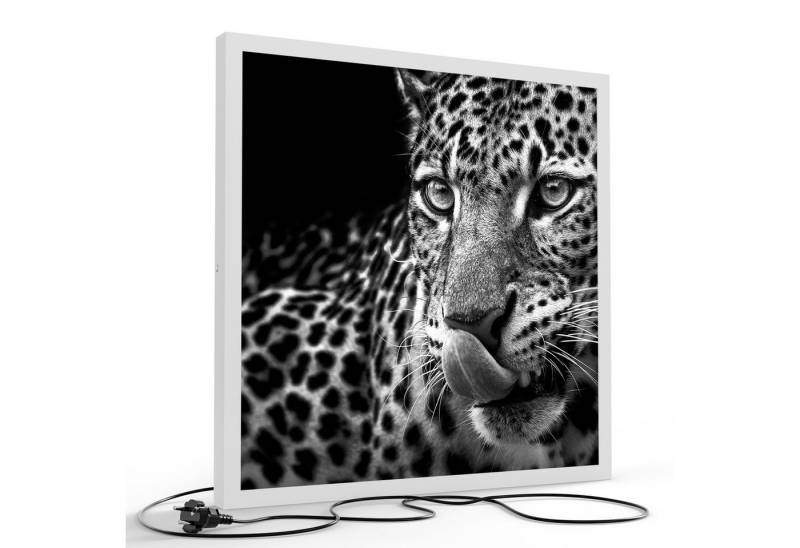 DEQORI LED-Bild 'Der hungrige Blick', (1 St), LED Lampe Leuchte Leuchtbild Bild beleuchtet Deckenleuchte Wandlampe von DEQORI