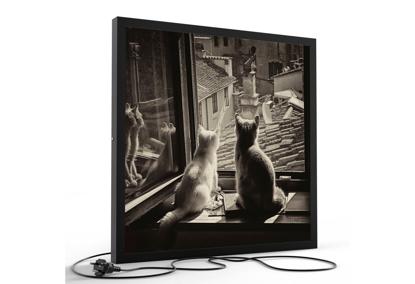 DEQORI LED-Bild 'Katzen auf Fensterbrett', (1 St), LED Lampe Leuchte Leuchtbild Bild beleuchtet Deckenleuchte Wandlampe von DEQORI