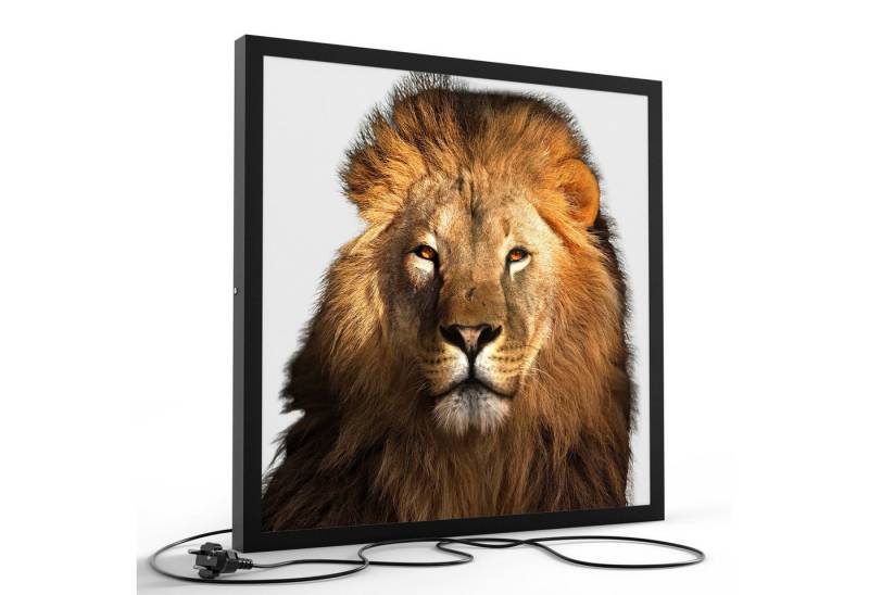 DEQORI LED-Bild 'Majestätischer Löwe', (1 St), LED Lampe Leuchte Leuchtbild Bild beleuchtet Deckenleuchte Wandlampe von DEQORI